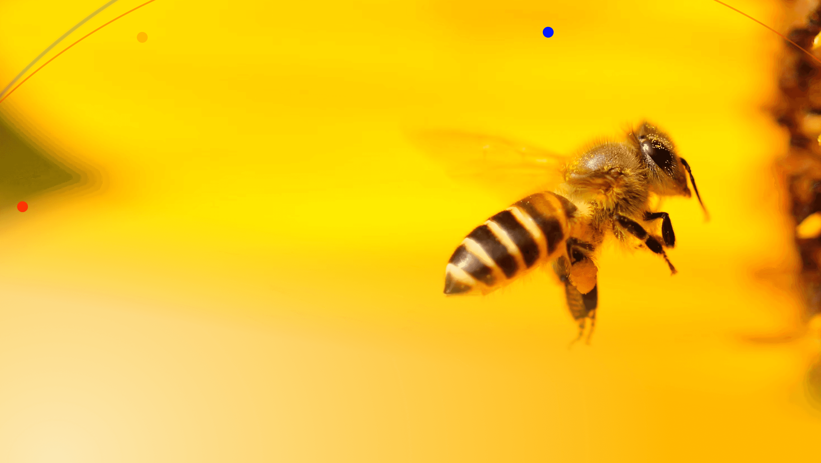 API Background